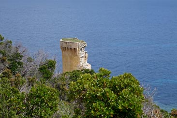 La tour génoise de Mortella depuis le sentier douanier rejoignant Saint Florent
