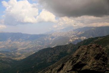 Panorama vers le sud-est ; le rapace vole en direction de Monte Cardo au loin